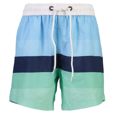Blue Mint Stripe Boardies