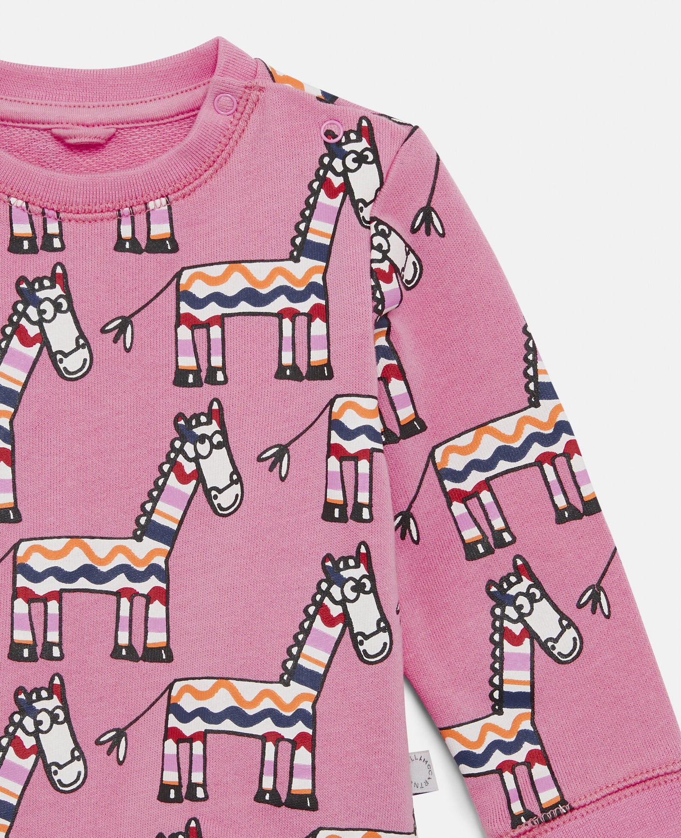 Baby Zebra Print Fleece Tracksuit Set