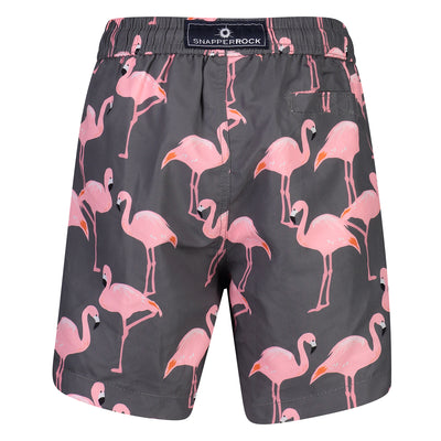 Flamingo Social Boardies