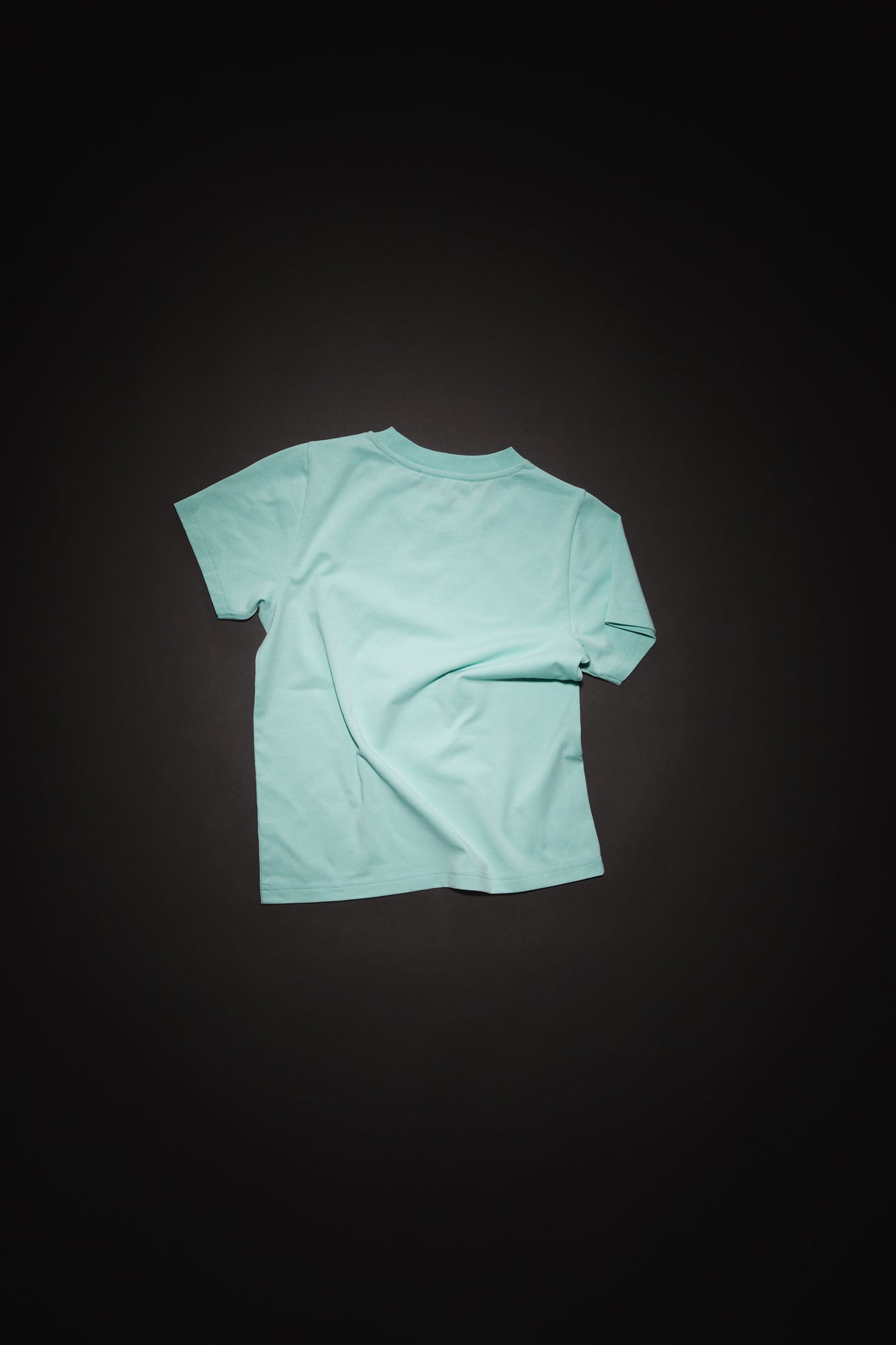 Crew Neck T-Shirt Soft Green