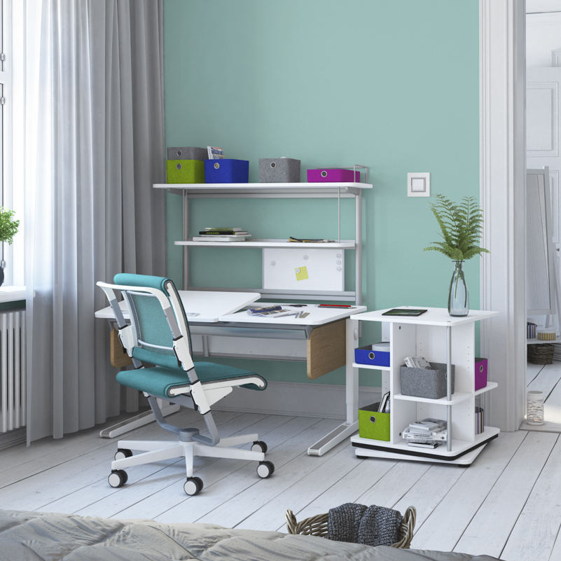 MOLL CHAMPION STUDY DESK