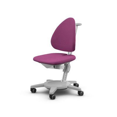 MOLL MAXIMO CHAIR